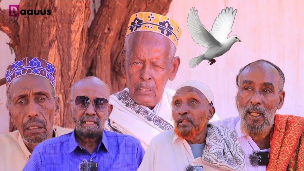 TOOS: Odayaasha Mareexaan oo nabad ugu baaqay beesha sacad ee dagaalka ka dhaxeeya