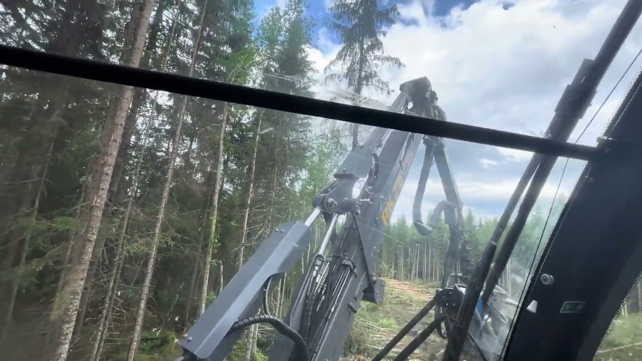Rottne H8e in clearcut