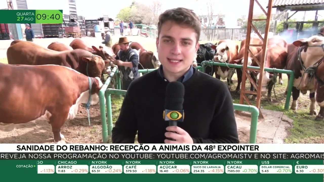 Sanidade do rebanho: Recepção a animais da 48° Expointer