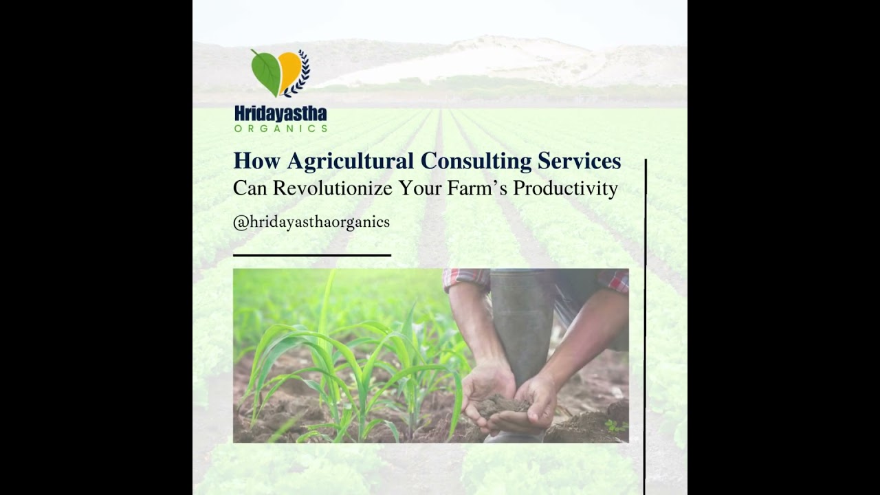 How Agricultural Consulting Services Can Revolutionize Your Farm&rsquo;s Productivity