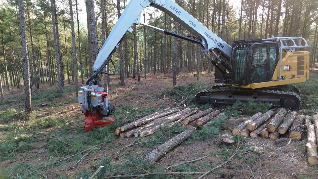 🌲 Colheita Florestal com Cabe&ccedil;ote Log Max 6000V e Escavadeira Caterpillar 320GC em Tibagi, PR 🌲