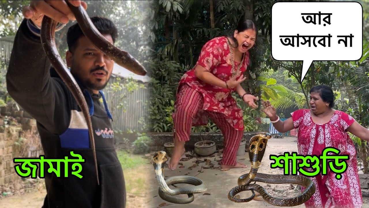 🐍 শাশুড়িকে তাড়ানোর জন্য বাটপার জামাই শাশুড়ির গায়ে সাপ ছেড়ে দিলো 😝 Snake prank on whole Family 