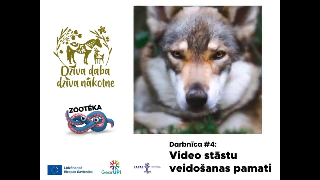 Darbnīca #4: VIDEO stāstu veidošanas pamati (projekts 