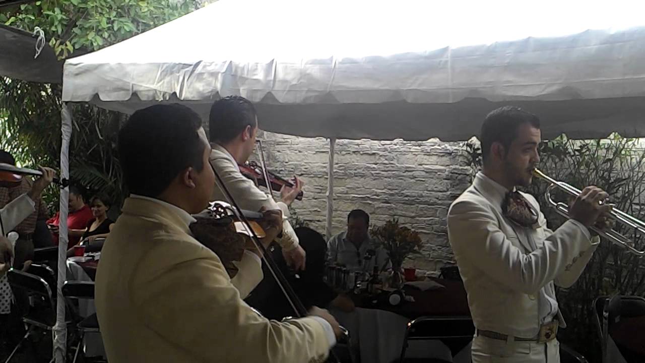 El capulinero Mariachi Real de Oro
