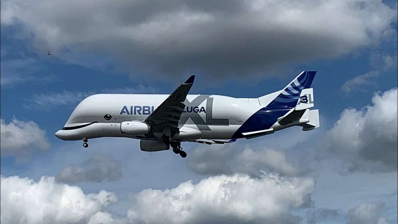 Airbus A330-700 Beluga XL (F-GXLI) approaching Hamburg Finkenwerder July 14, 2022.