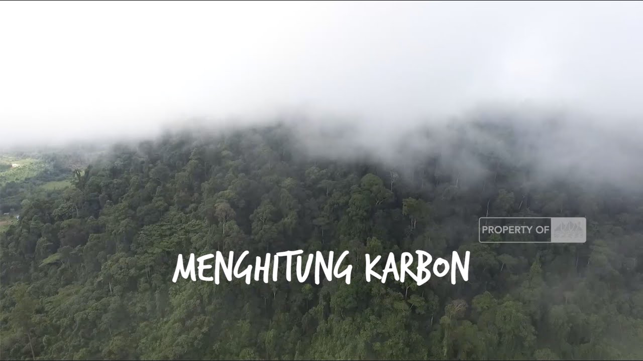 Menghitung Karbon