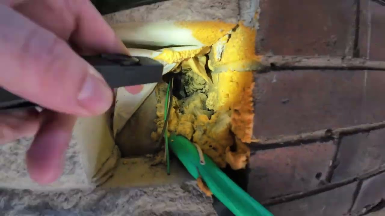 Mouse Entry Points at Utility Penetrations – Exterior Inspection (Toronto)