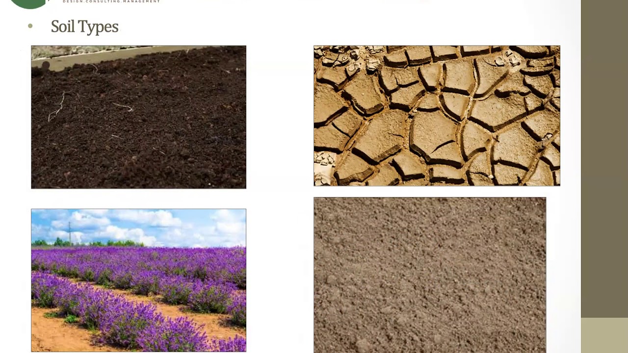 Designing With Soil Moisture Sensors