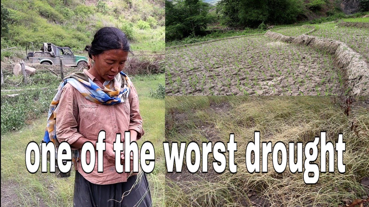Chingjaroi is witnessing one of the worst drought in her history. Do view to believe.