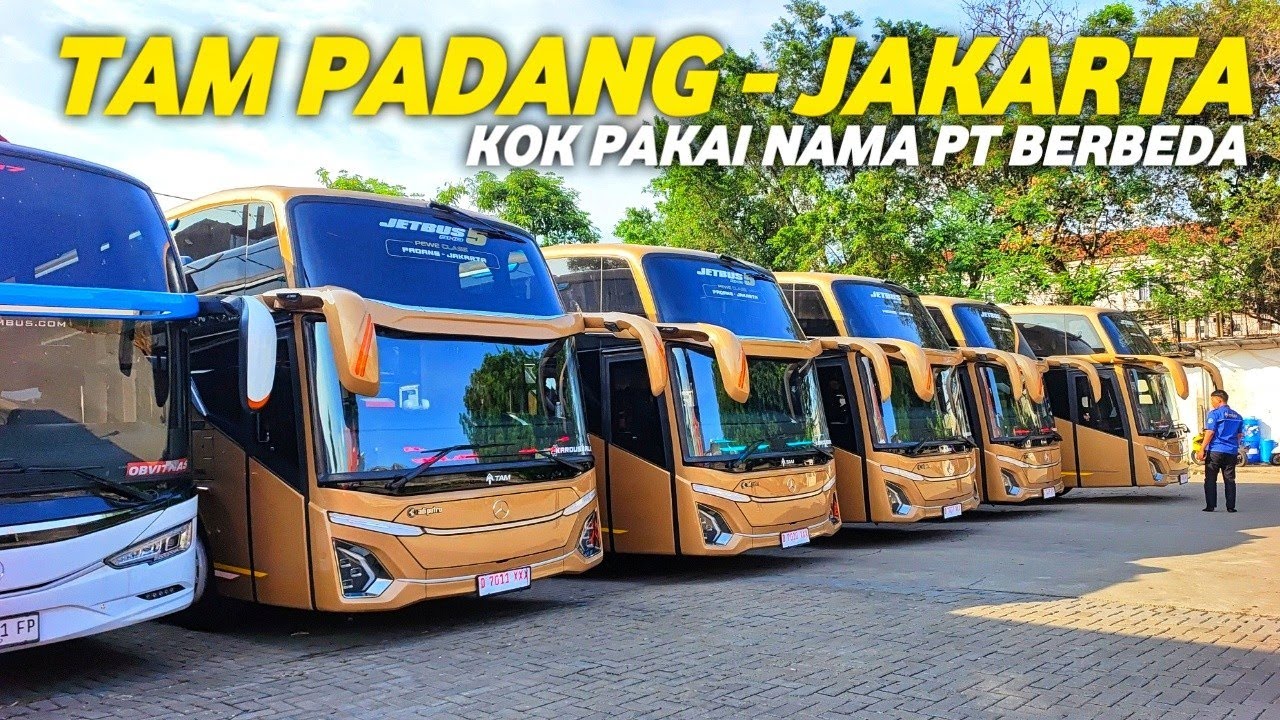 INI MODEL BUS TAM PADANG JAKARTA PENANTANG BARU BIS SUMBAR 
