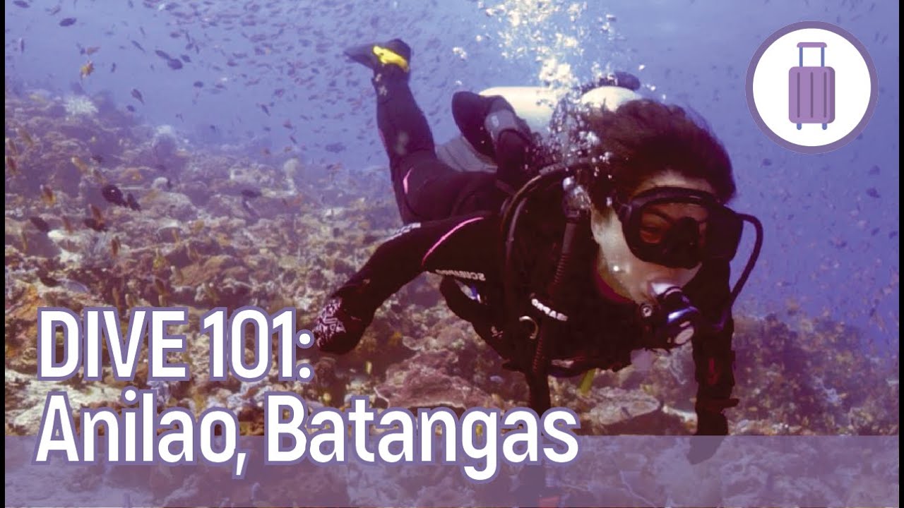 Dive 101 with Alice Dixson