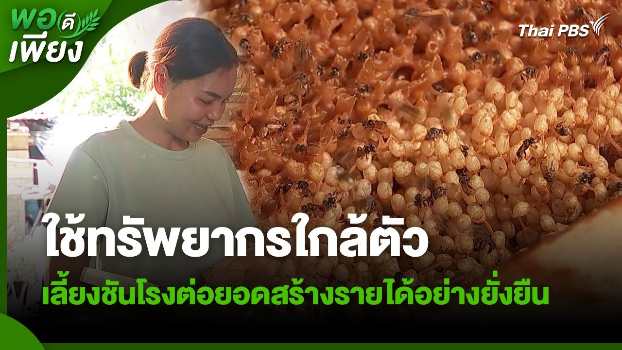 ใช้ทรัพยากรใกล้ตัว เลี้ยงชันโรงต่อยอดสร้างรายได้อย่างยั่งยืน | พอดีพอเพียง | วันใหม่วาไรตี้