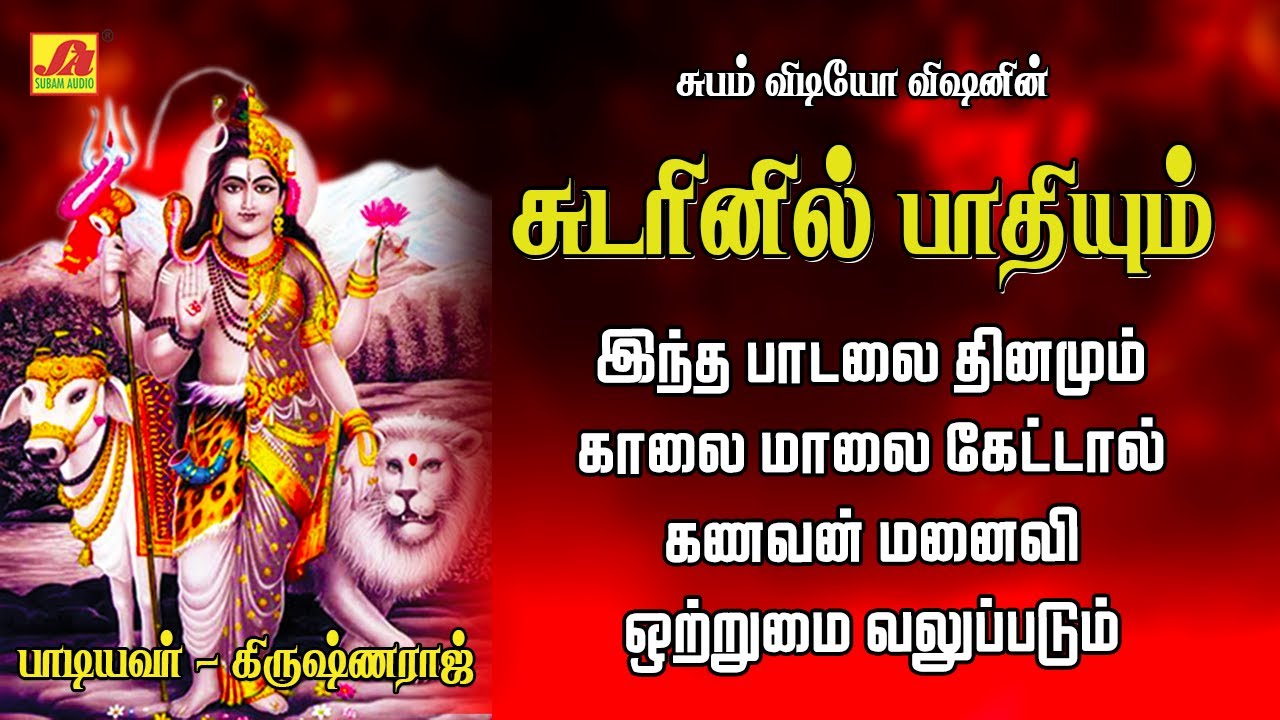 சுடரினில் பாதியும் பாடல் | Sudarinil pathiyum Song | Subam Audio Vision #shivansongs #devotionalsong
