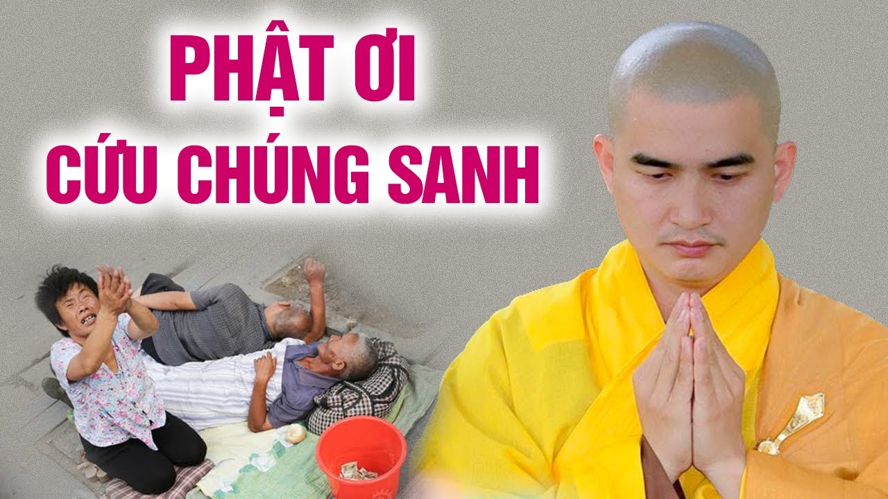 Phật ơi cứu chúng sanh (Xúc động quá) - ĐĐ. Thích Minh Thiền