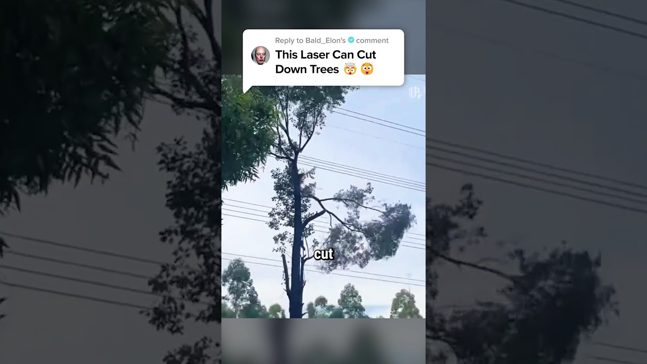 Automatic Laser Tree Cutting Technology 🤯🌴