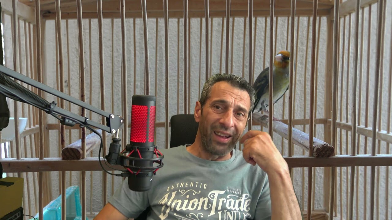 ΠΩΣ ΘΑ ΒΓΑΛΩ ΚΑΡΔΕΡΙΝΟΚΑΝΑΡΟ ?