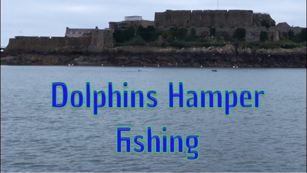 Dolphins Hamper Fishing From Shore!!!
