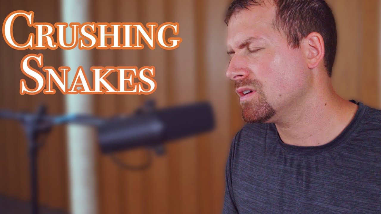 Crushing Snakes - Crowder (Cover by James Young)