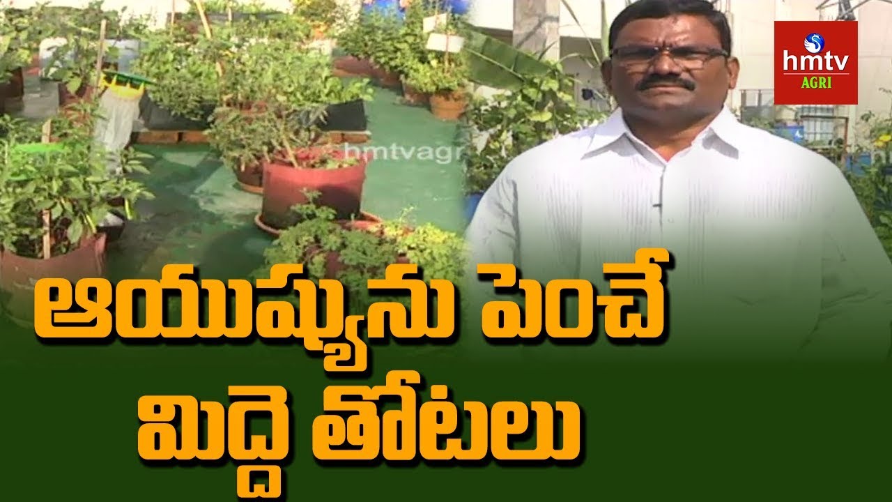 Terrace Garden Awareness Program by Rythu Nestham Foundation Chairman Venkateswara Rao | hmtv Agri