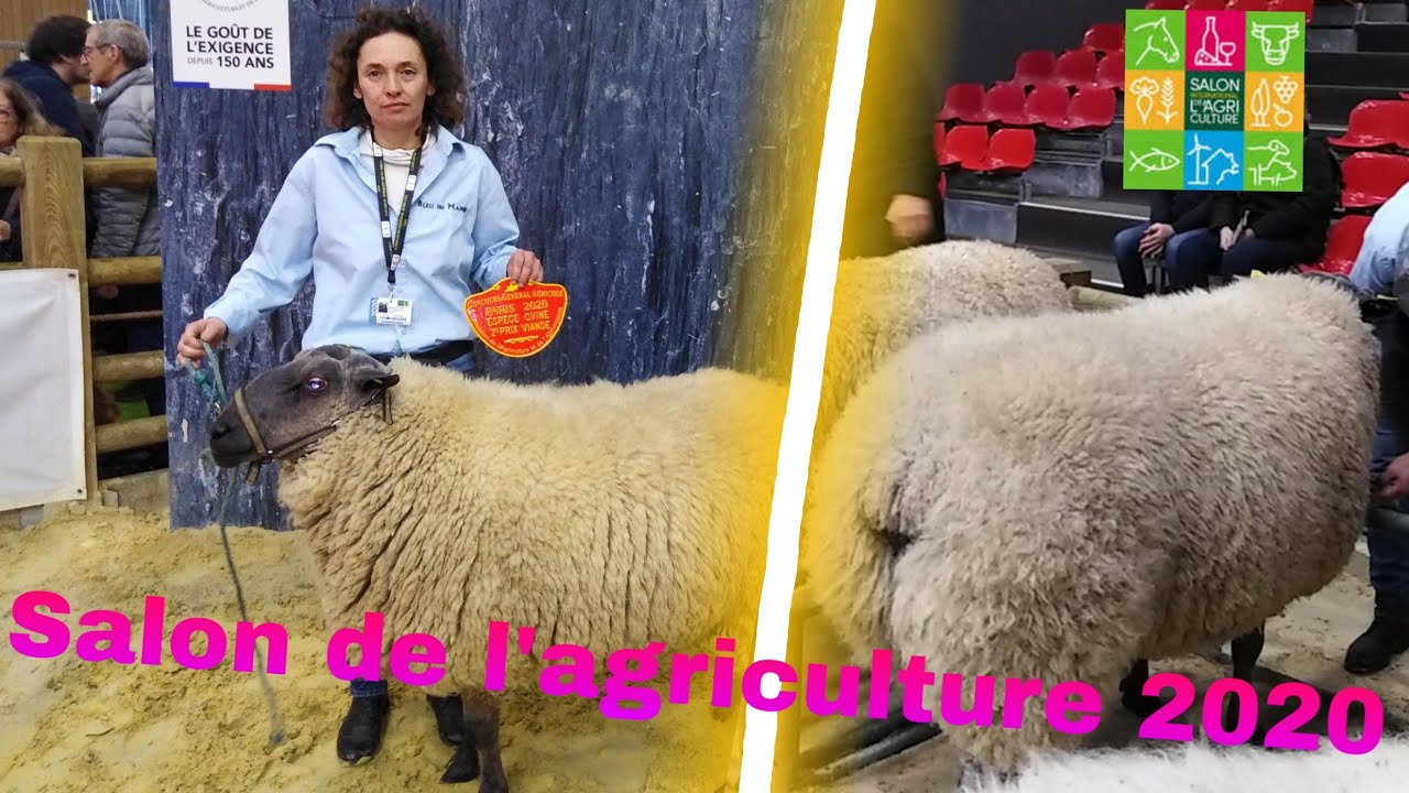 Salon de l'agriculture 2020 (concours)