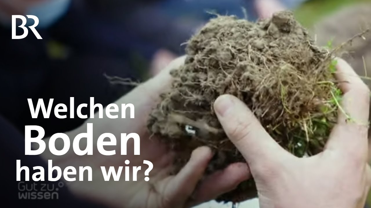 Beschaffenheit des Bodens: Worauf es ankommt und was es zu beachten gilt | Gut zu wissen | BR