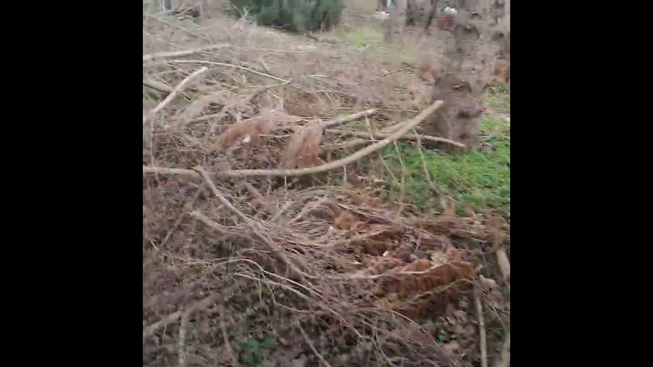 Заброшенный дом