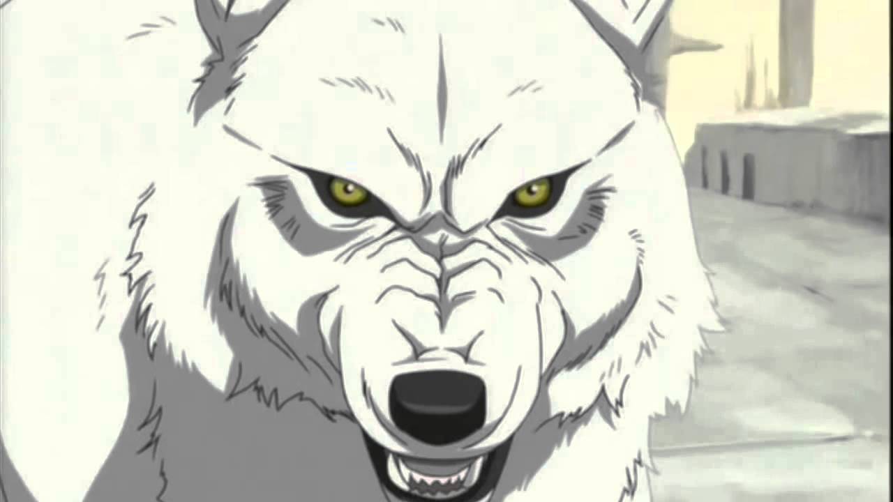 Wolf's Rain [AMV]- Fight Song