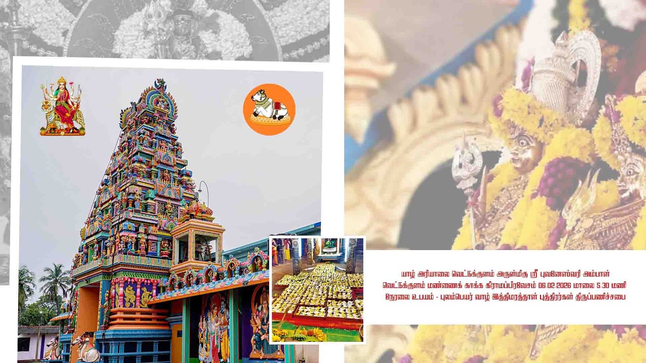 அரியாலை வெட்டுக்குளம் ஶ்ரீ புவனேஸ்வரி அம்பாள் வெட்டுக்குள மண்ணைக் காக்க கிராமப் பிரவேசம் 06.02.2026