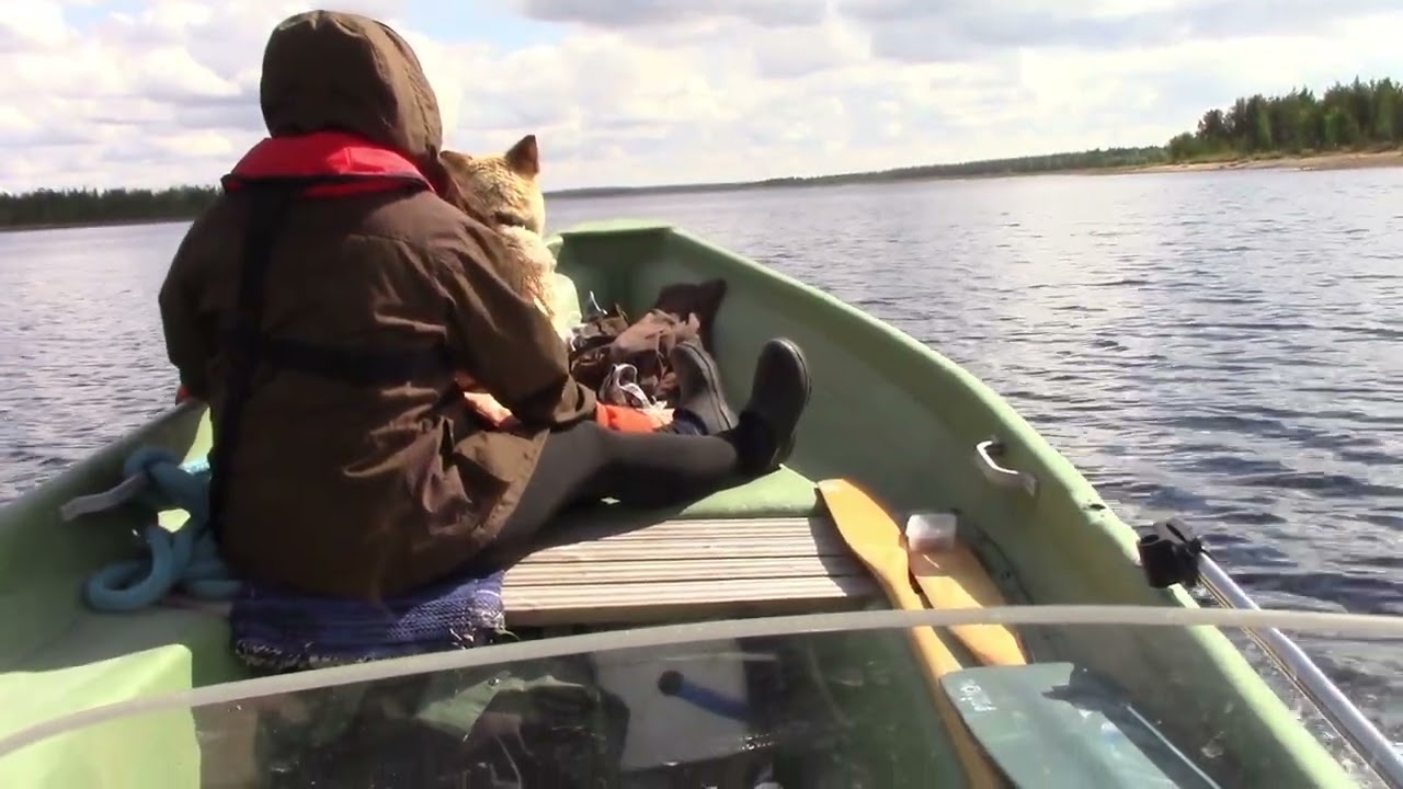 Seikkailu Sompiossa 13.6. 2024