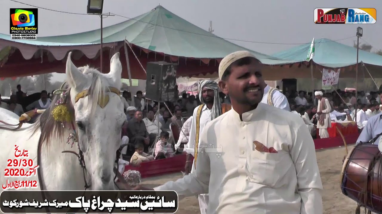 Nokar Ghazi l Shahzada l All Punjab Horse Dance l Ravi vs Chana vs Nelie l 27 Oct 2020 l