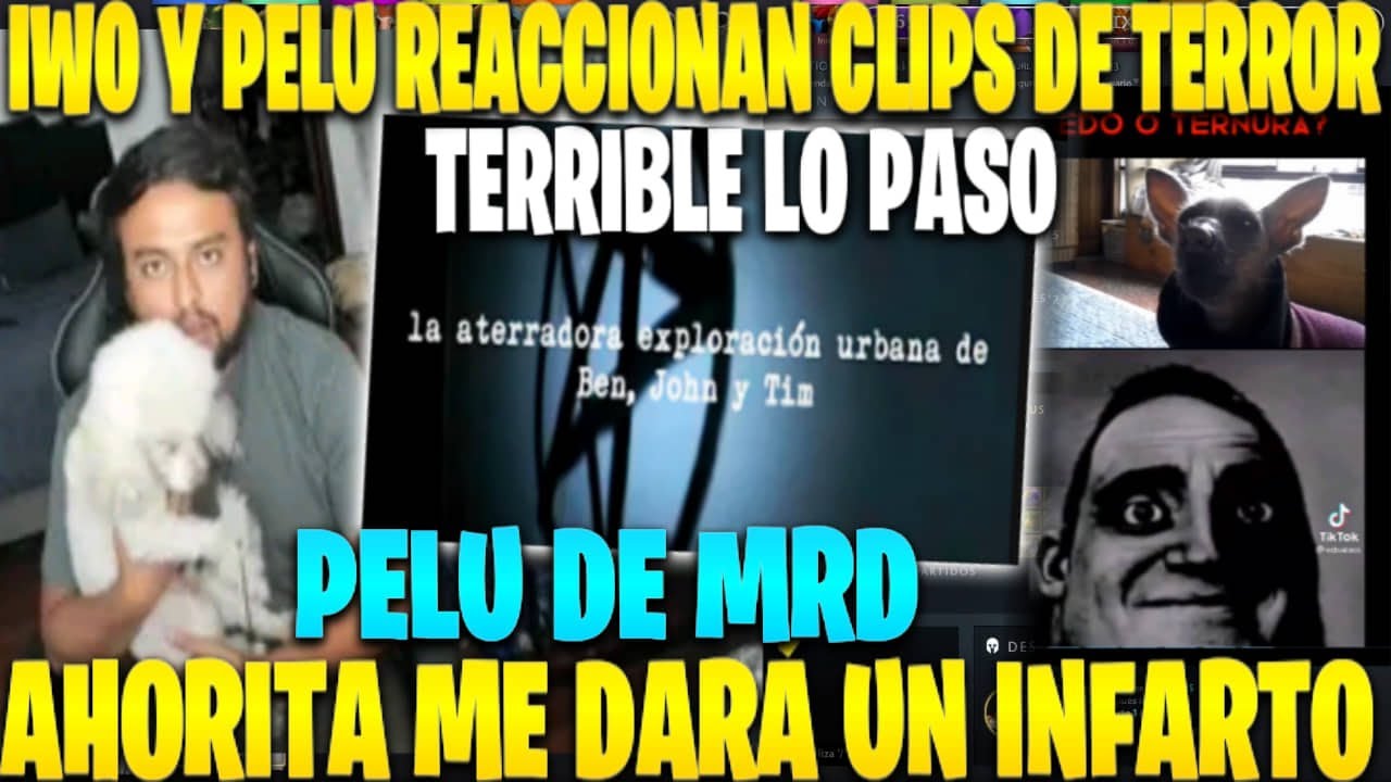 😲IWO Y PELU REACCIONA CLIPS DE TERROR🤣TERRIBLE LO QUE PASO😂