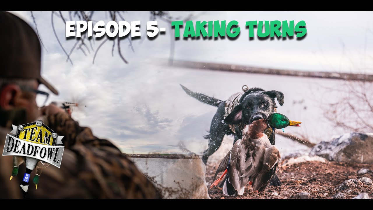 Taking turns on late season mallards a perfect gentleman’s hunt!