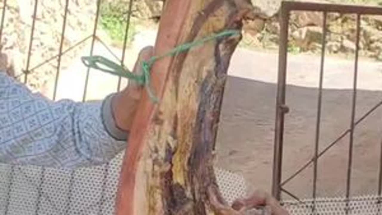 小金腊肉，传统工艺制作，肉香浓郁，口感醇厚，带你领略自然之味。#大山里面的搬运工