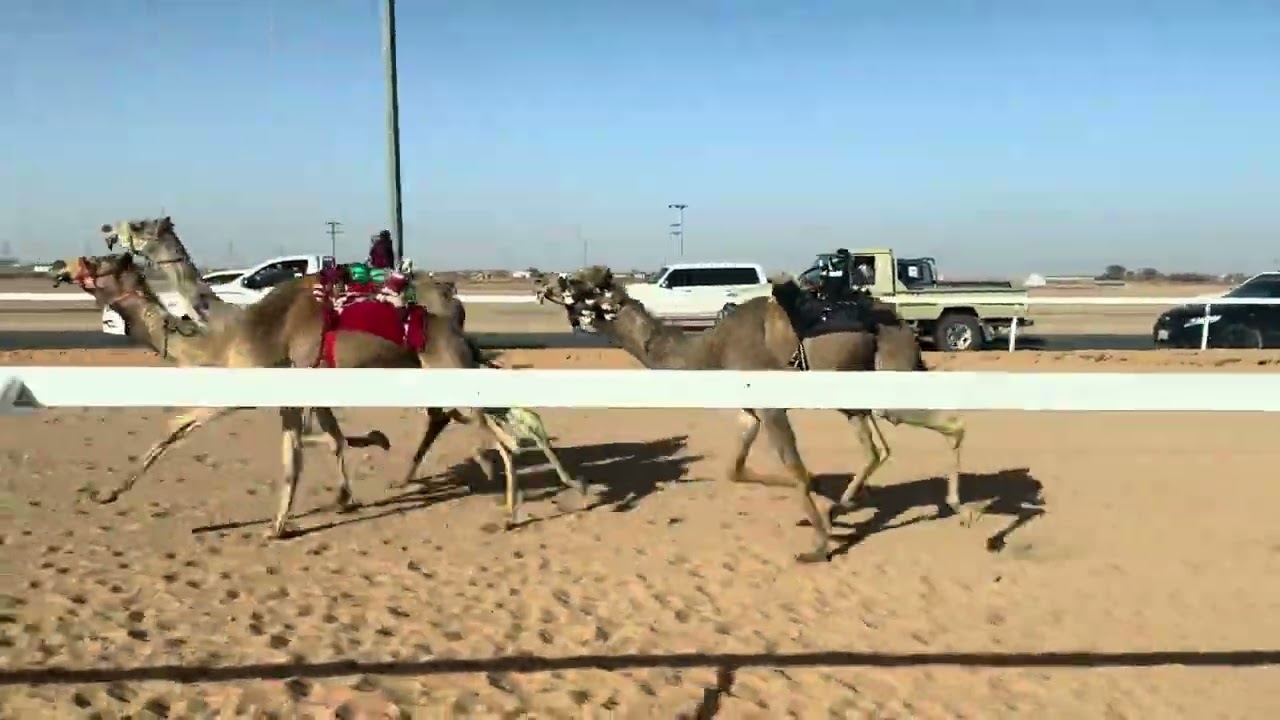 ش 1 بكار حقايق رئيسي هيبة ل جابر عبدالله الشمري 