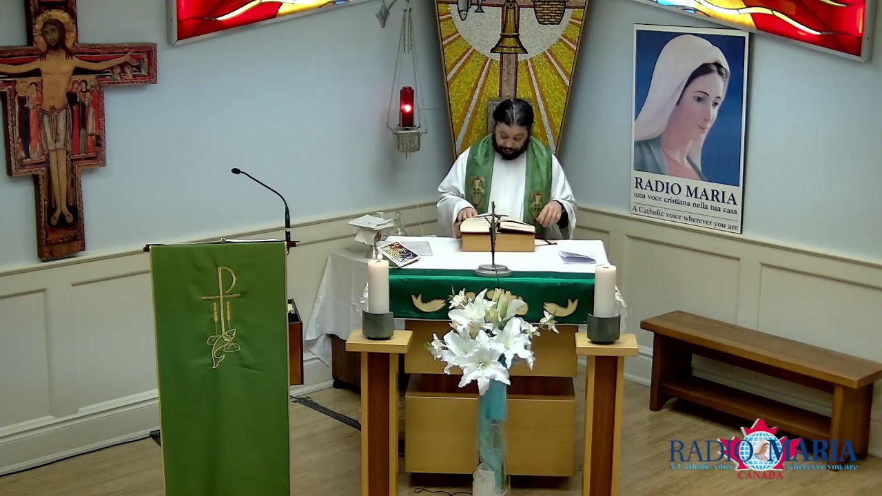 Catholic Holy Mass (ENG) - Thursday January 15, 2026.