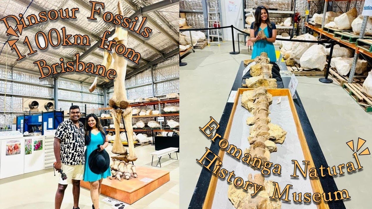 Eromanga Natural History Museum # Dinsour Fossils# Biggest fossil in Australia