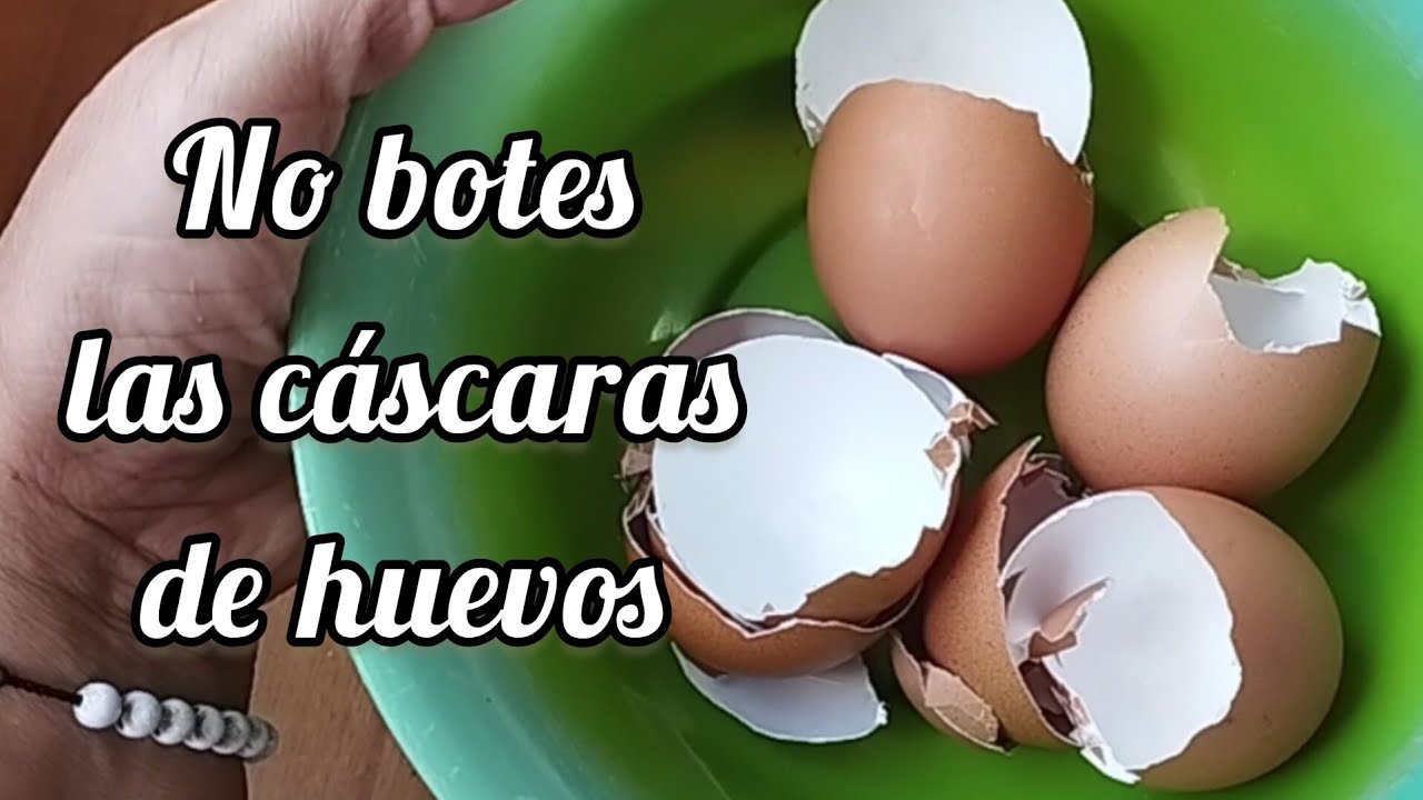 Mira lo que hice con cáscaras de huevos! 🪴 3 lindas ideas🖌️