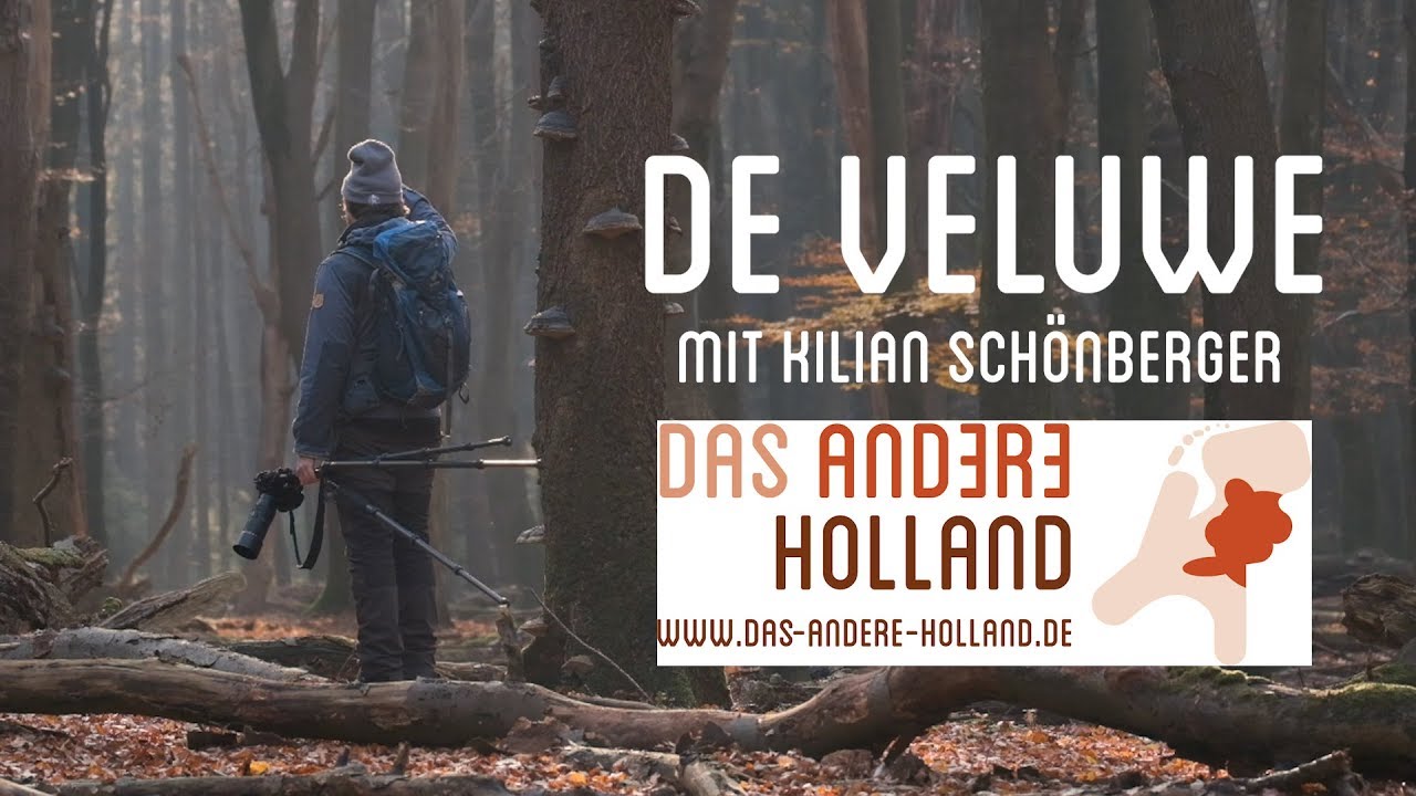 De Veluwe mit Kilian Sch&ouml;nberger - Das Andere Holland