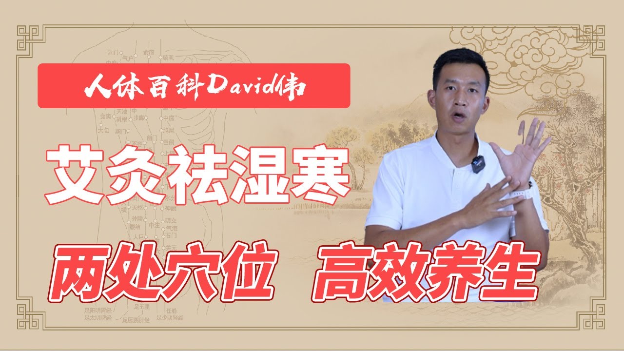這樣艾灸最管用！艾灸兩處穴位祛濕寒，調節脾胃健康【人體百科David偉】