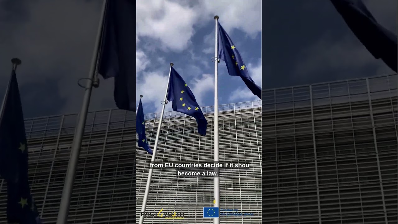 Cookbook of EU lawmaking Step 1. / EU t&ouml;rv&eacute;nyhoz&aacute;s&aacute;nak szak&aacute;csk&ouml;nyve 1. l&eacute;p&eacute;s