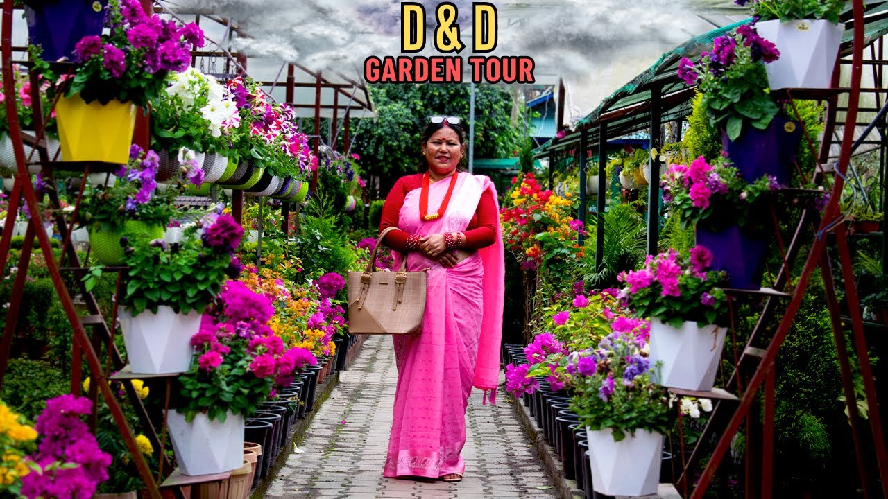 D & D Nursery and Garden Tour I Beautiful Garden in Nepal Exploring By Pabitra Garden