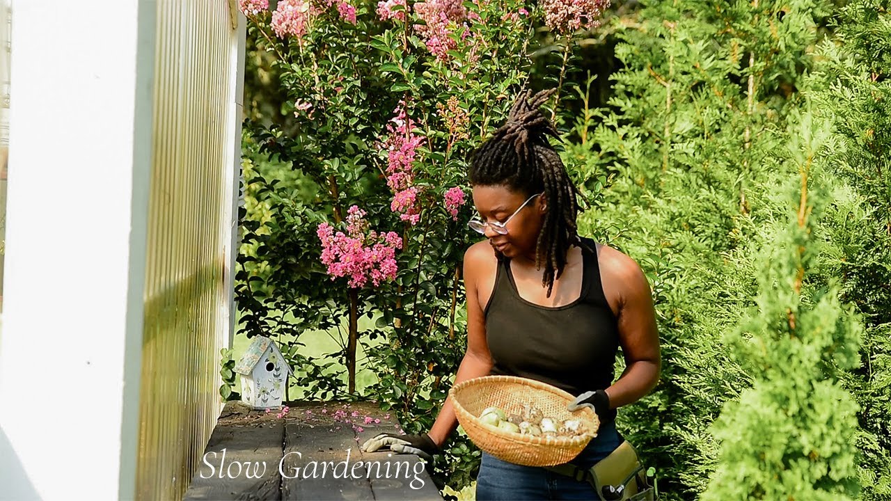 Harvesting Cherry Tomatoes and Onions + Cleaning Up the Garden