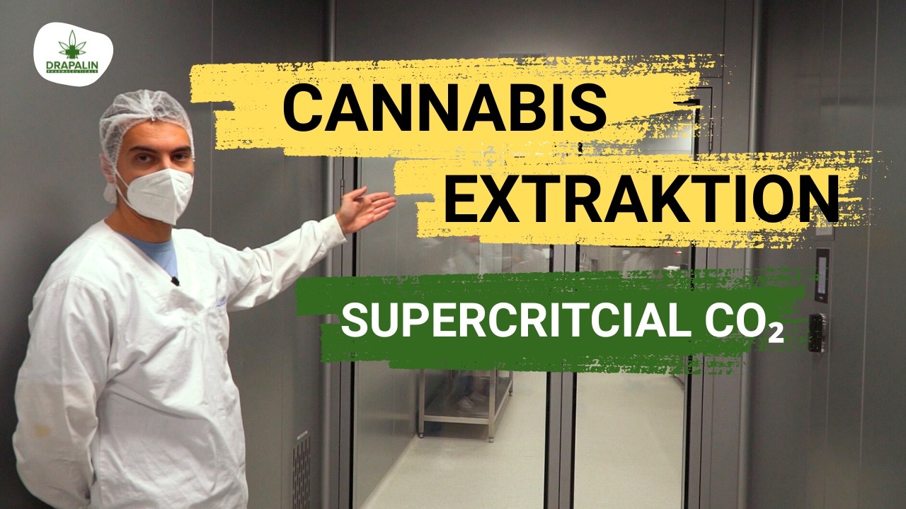 Cannabis-Extraktion einfach erklärt | Supercritical CO₂ Methode(Version 2)🌿