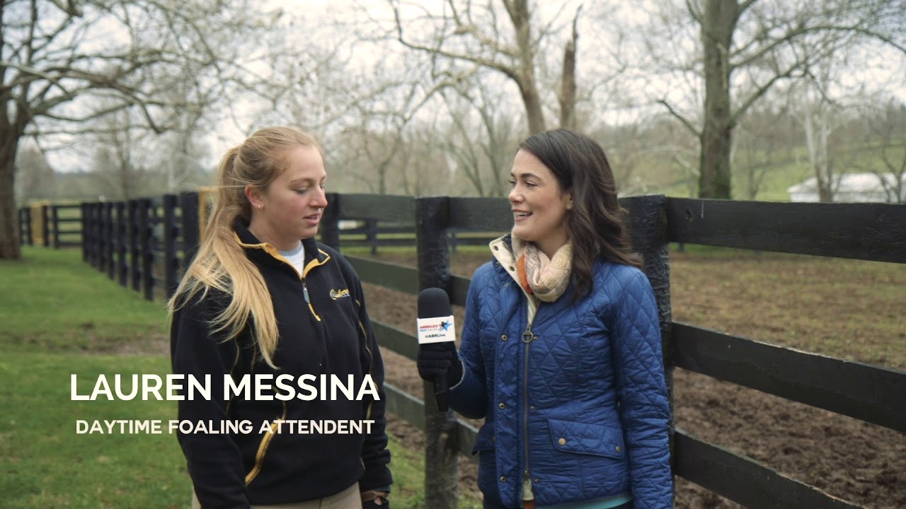 Seen ... Behind the Scenes at Claiborne Farm