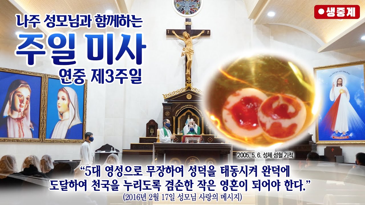 2026년 1월 26일 성 티모테오와 성 티토 주교 기념일 미사