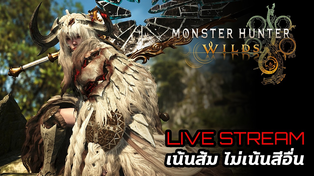 [Live] Monster Hunter Wilds : เน้นส้มไม่เน้นสีอื่น !!