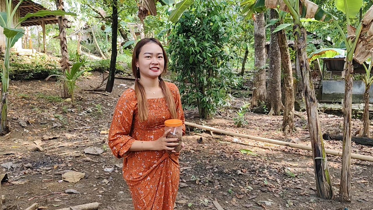 VIRAL NYATA.! JANDA CANTIK BUTUH LAKI-LAKI DI DESA TERPENCIL PEDALAMAN JAWA TENGAH