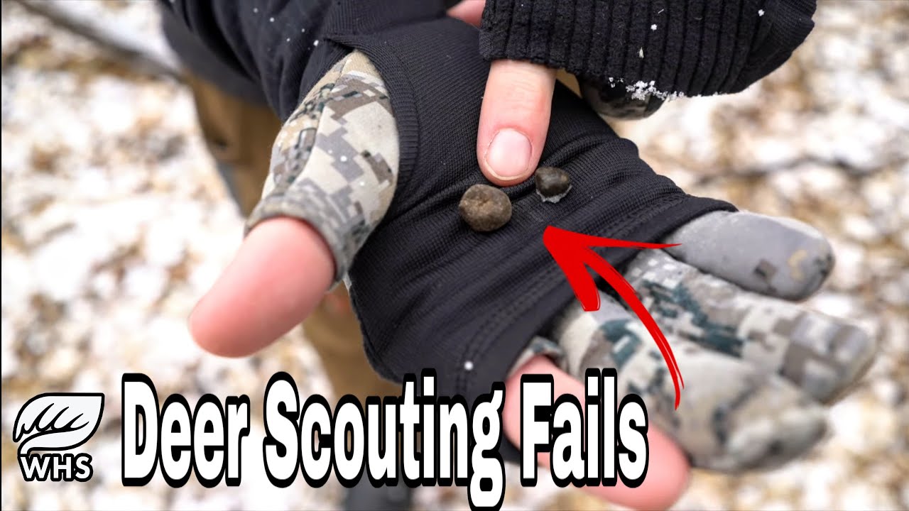 How To Scout Misleading Winter Buck Sign