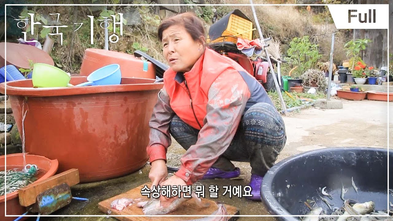 [Full] 한국기행 - 순천만 - 제3부 갯벌의 노래 20141217
