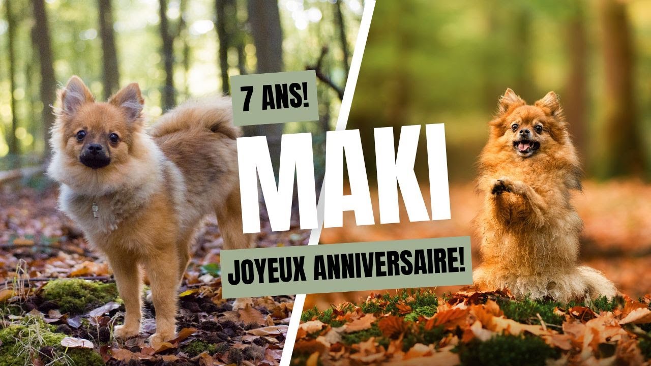 🎉 Joyeux anniversaire, Maki!  🥳